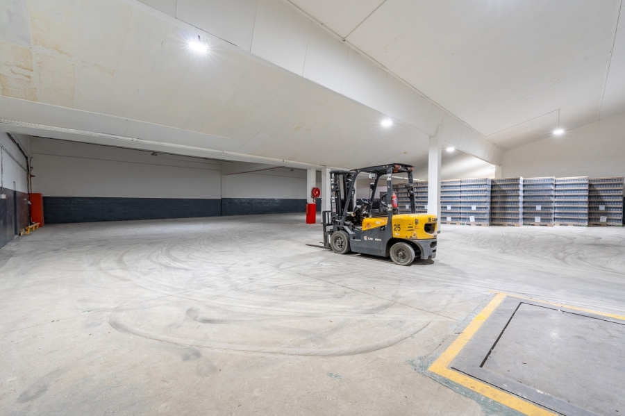 To Let commercial Property for Rent in Dal Josafat Western Cape